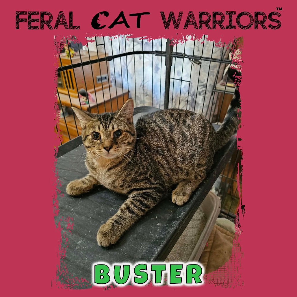 Buster