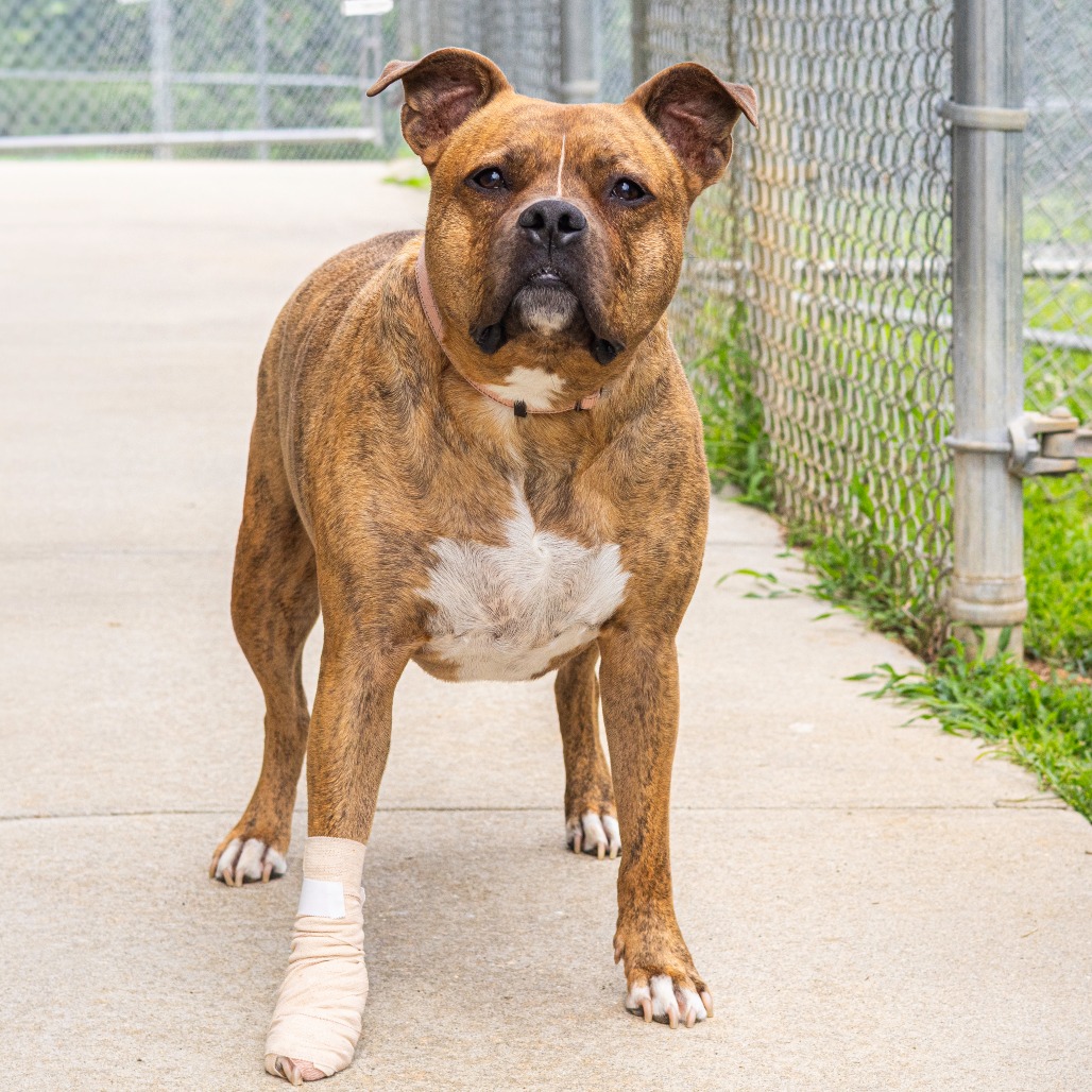 Zeus, additional photo