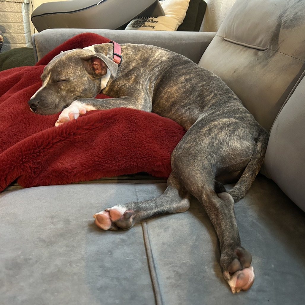 Flicka, photo 9