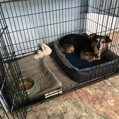 Belinda, photo 28