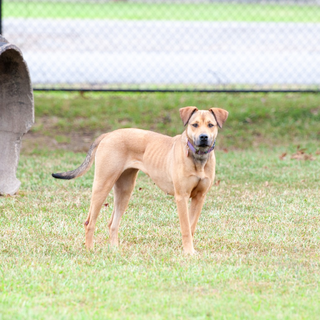 Perdita, photo 11
