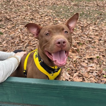 Jeffery — thumbnail 4