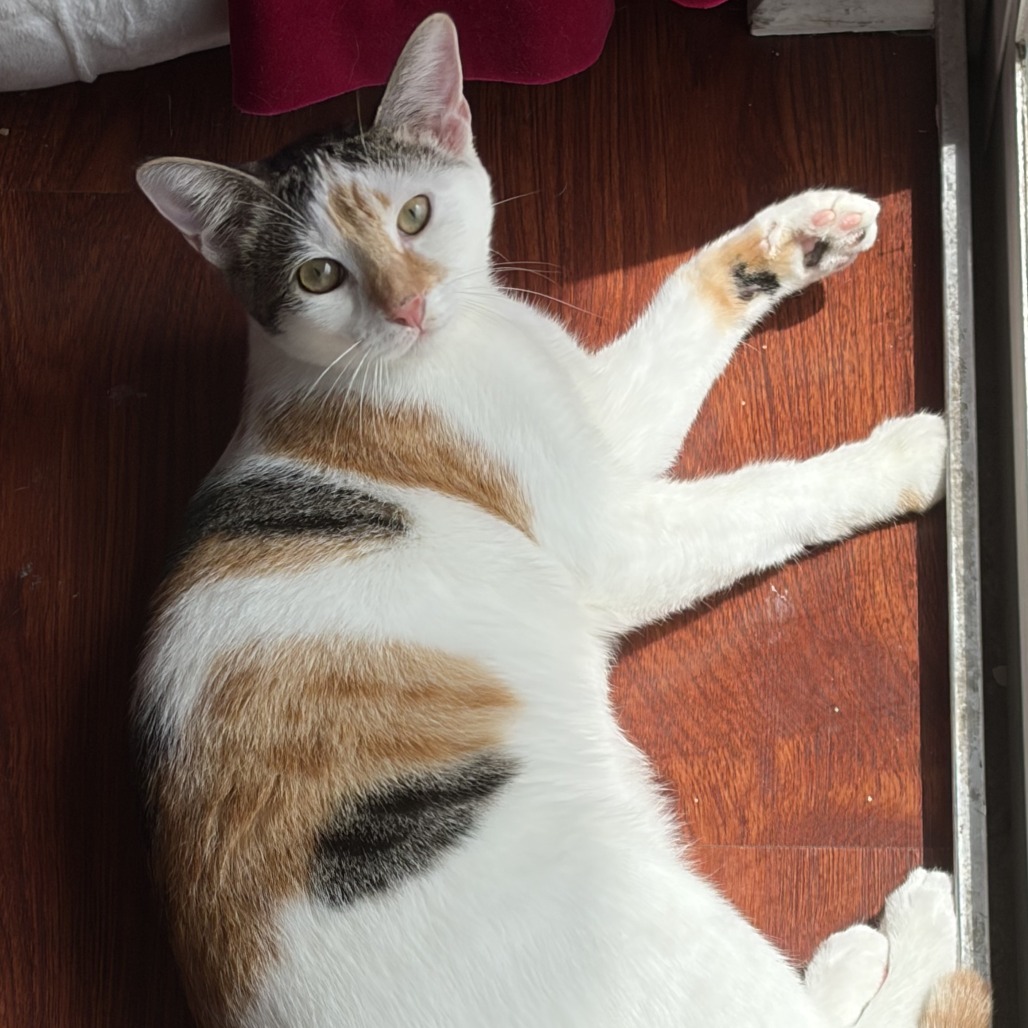 Natasha, photo 4