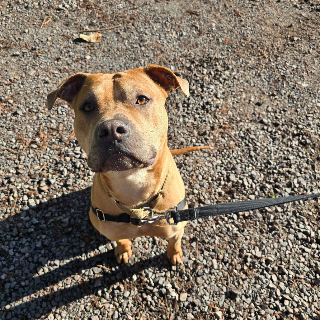 Lemmy — thumbnail 4