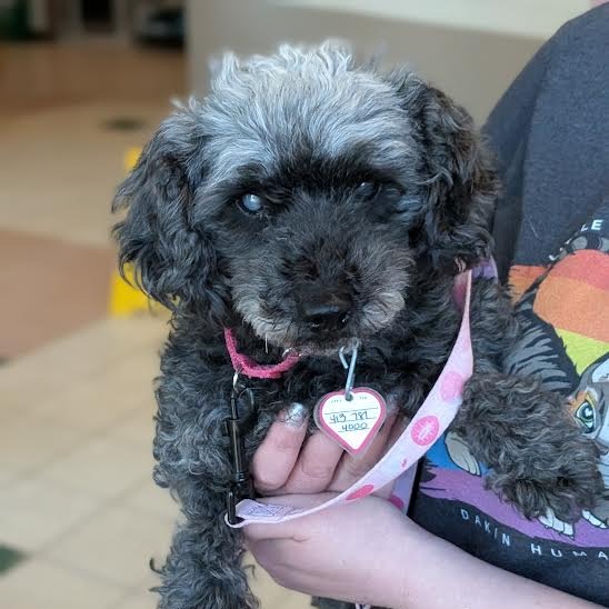 Fatima $199-In foster-See my video, additional photo