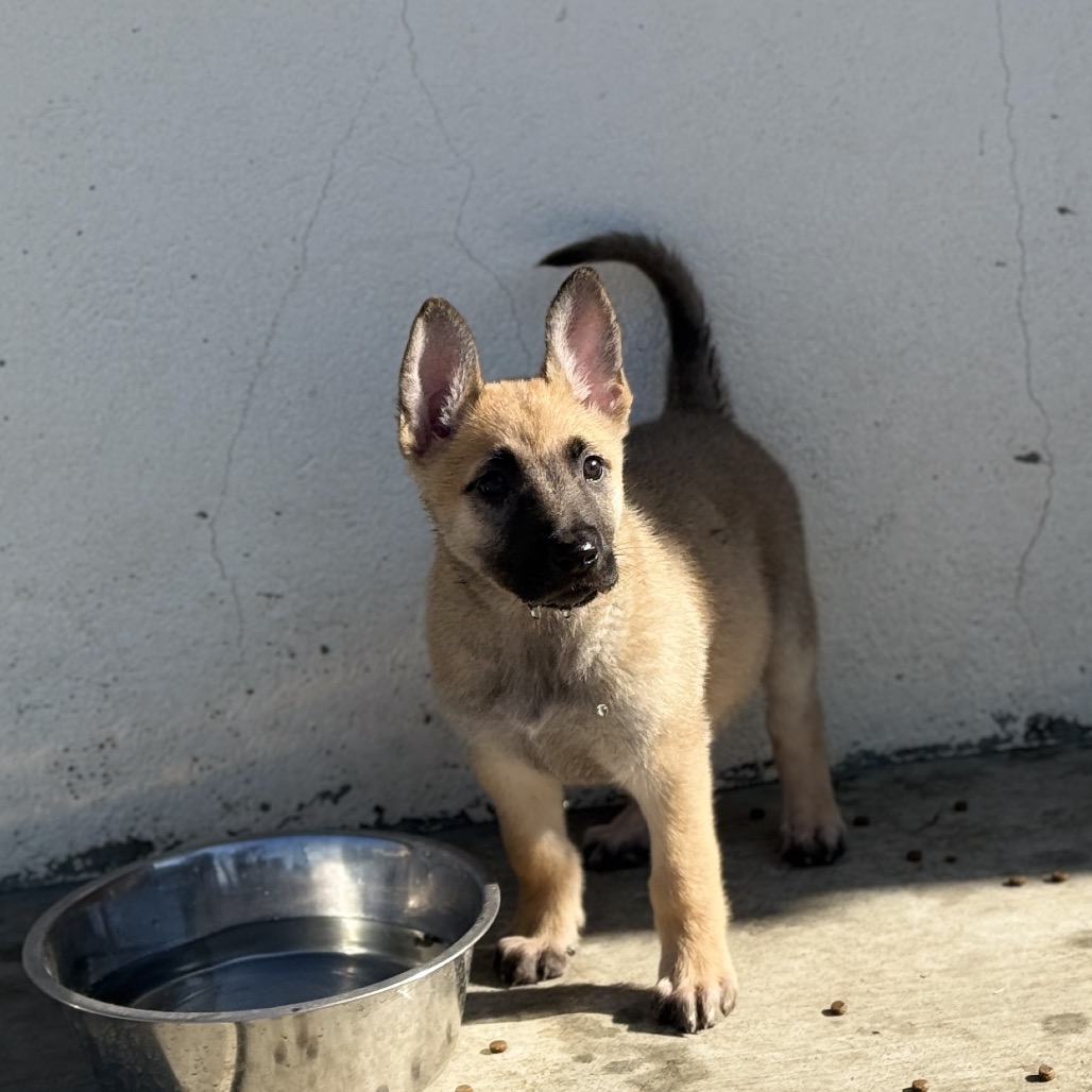 Tsireya — thumbnail 3