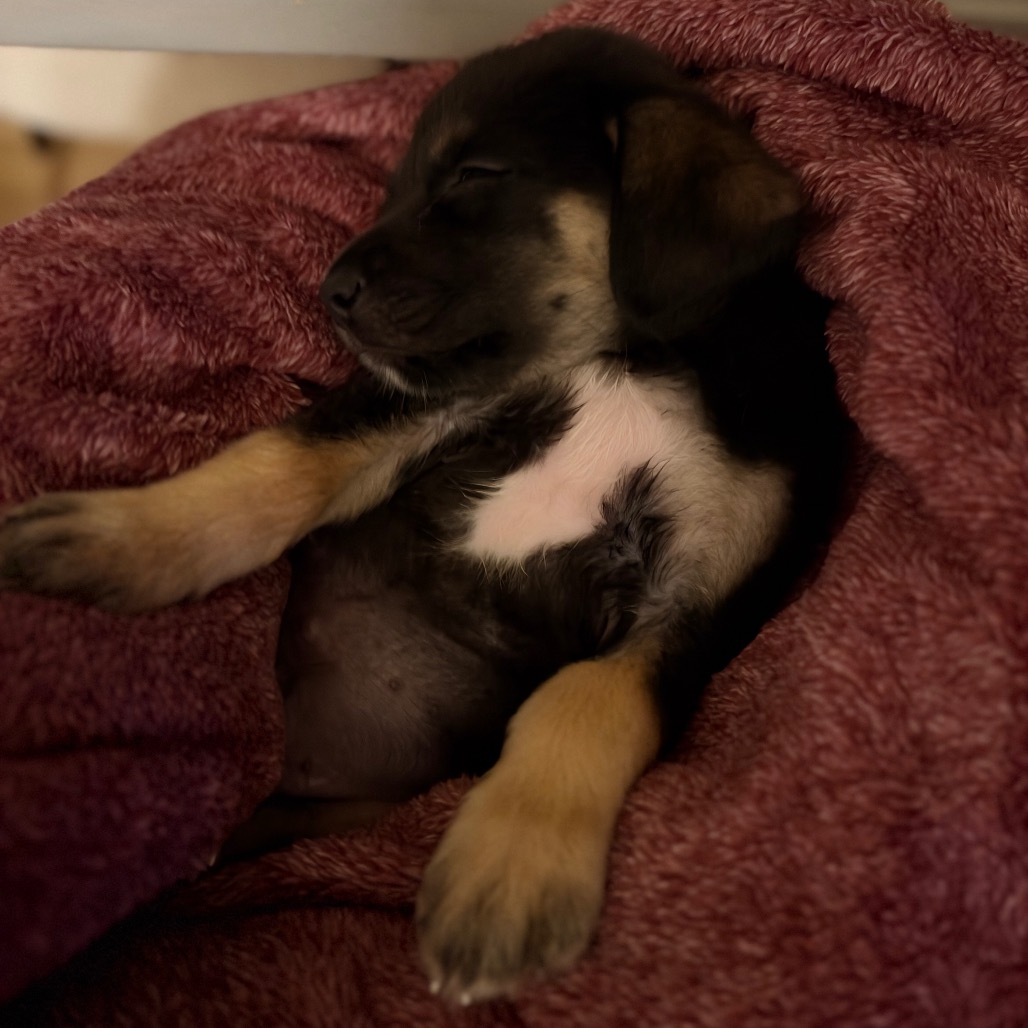 Doug, photo 9 of 11