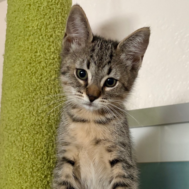 Close-up photo of Twix