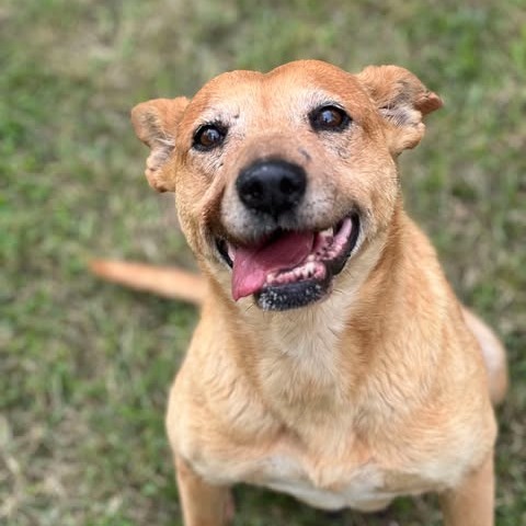 Photo of Luna