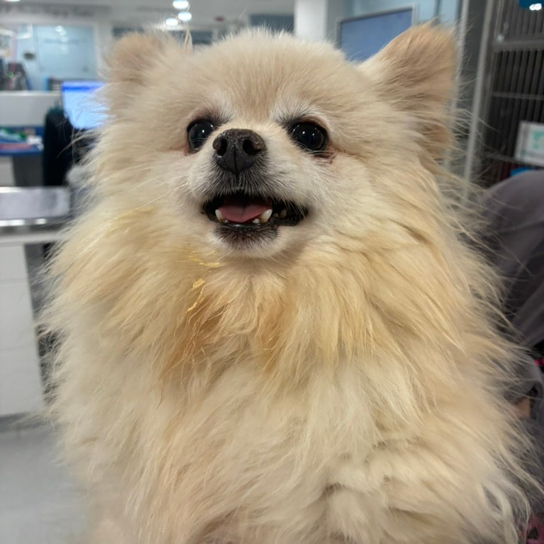 Chloe