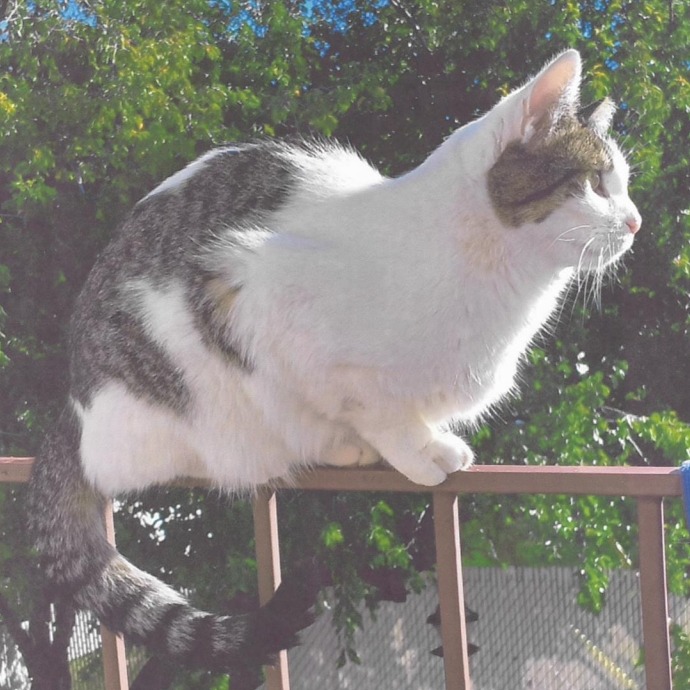 Jaden — thumbnail 3