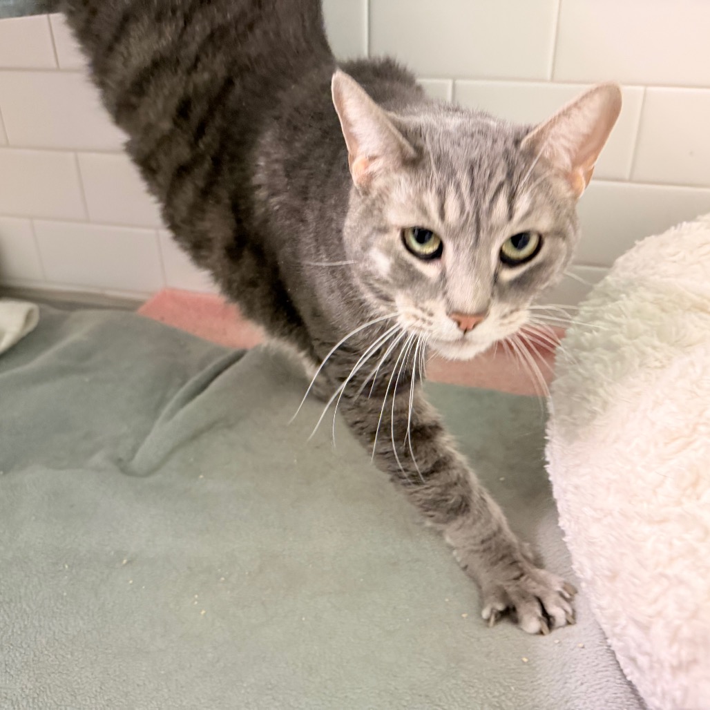 Photo of Maya and Bella 5