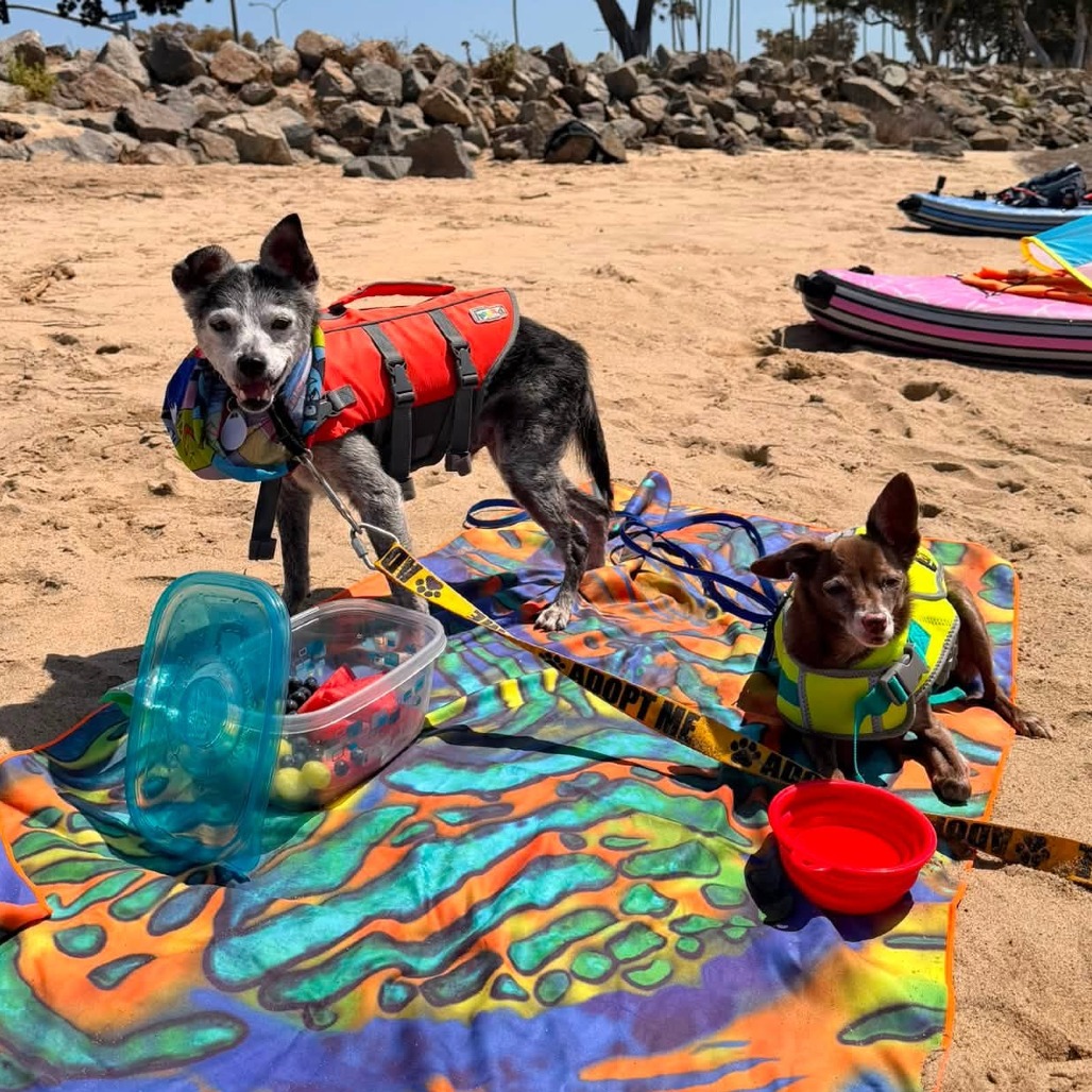 Oakley, photo 6