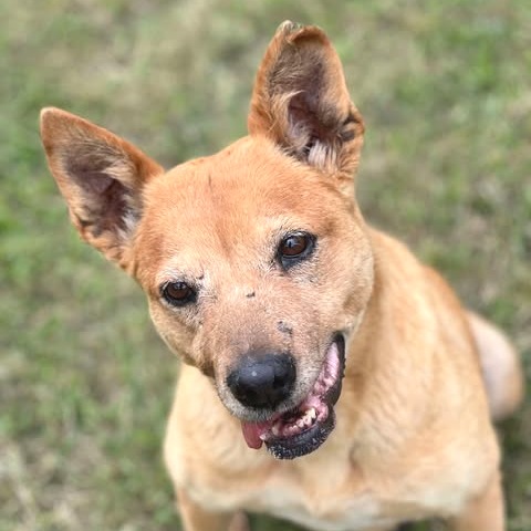 Photo of Luna