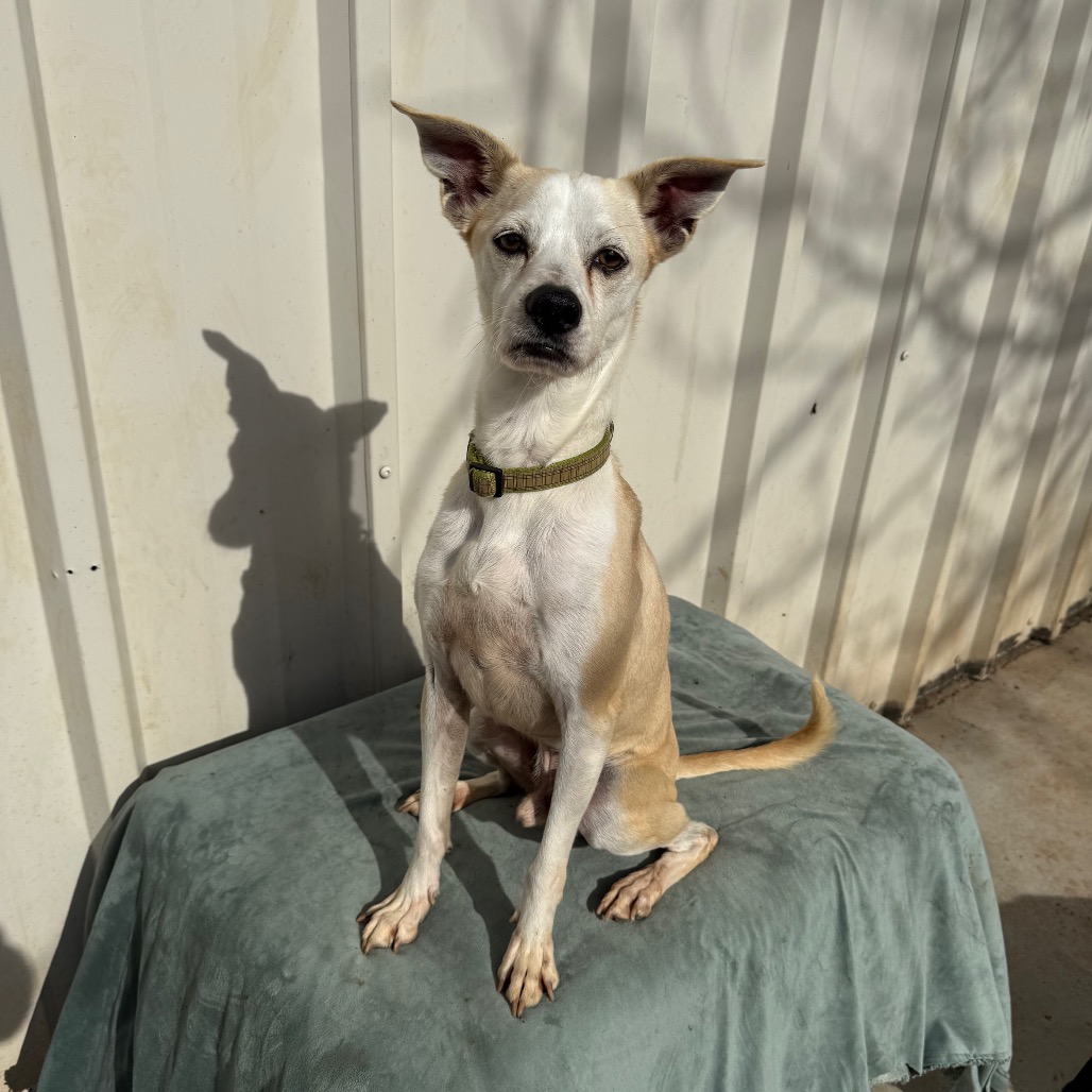 Fran — thumbnail 4