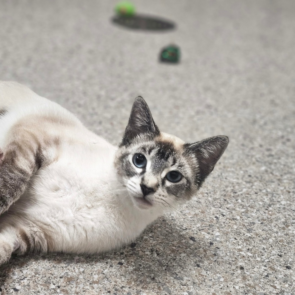 Ubetcha — thumbnail 2