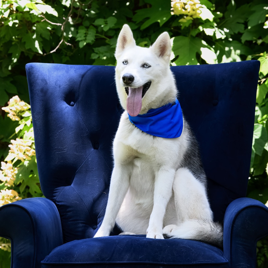 Photo of Reno "Reba"