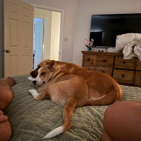 Max photo 9