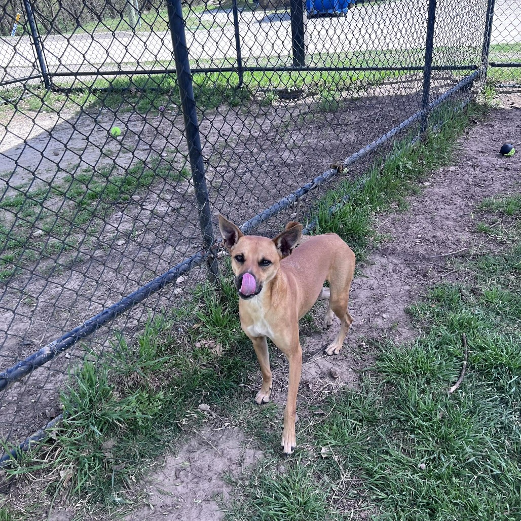 Photo of Cash