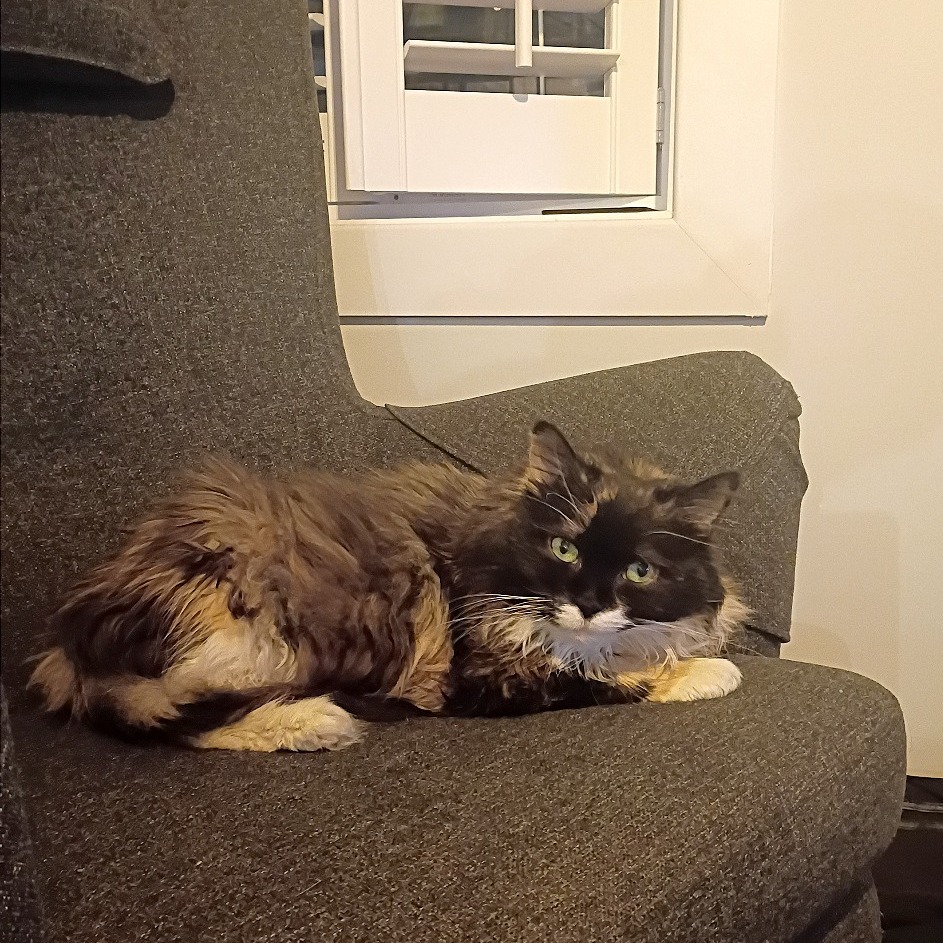 Leah, photo 9