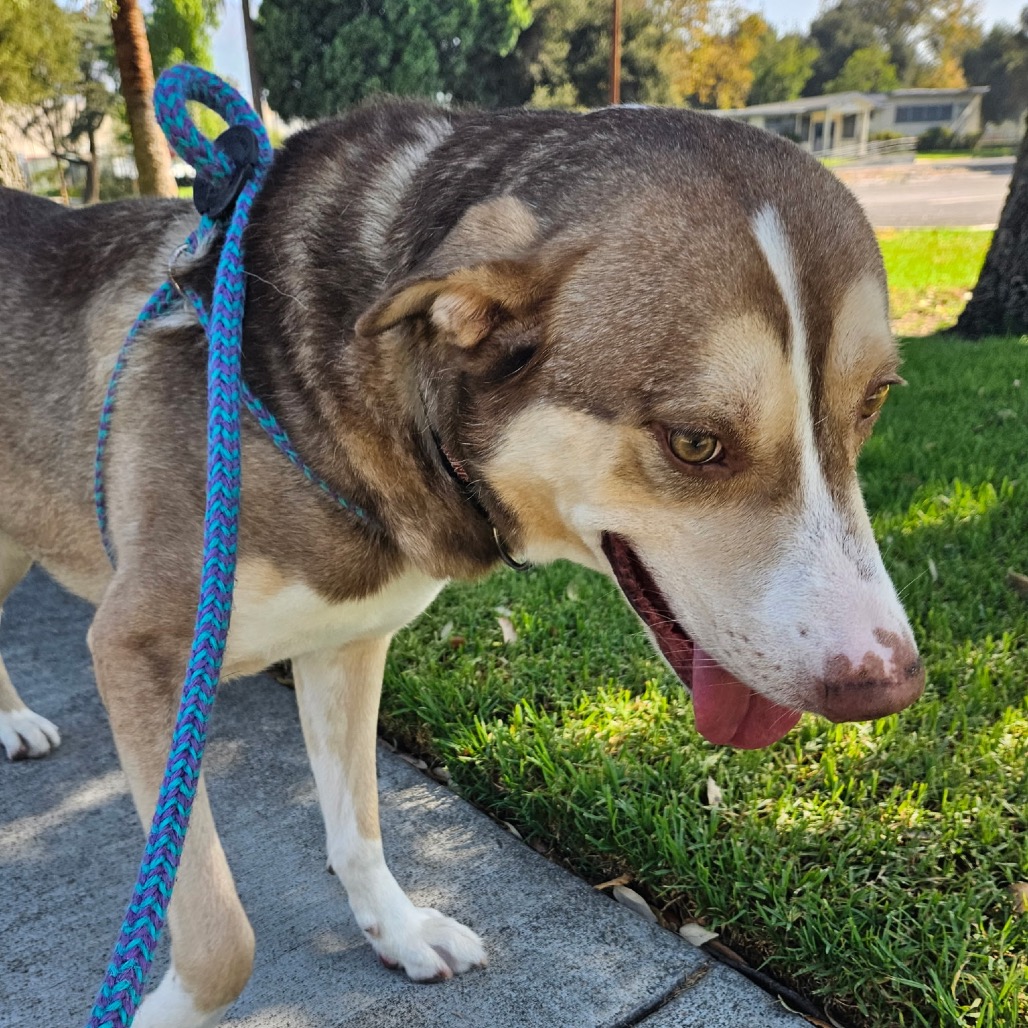 BANDIT, photo 12