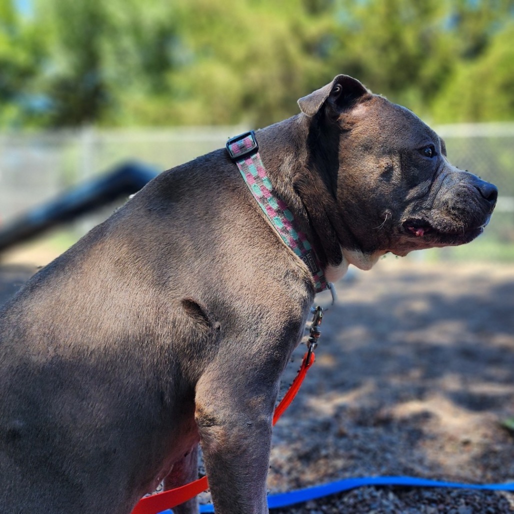 Lucy Lu, additional photo