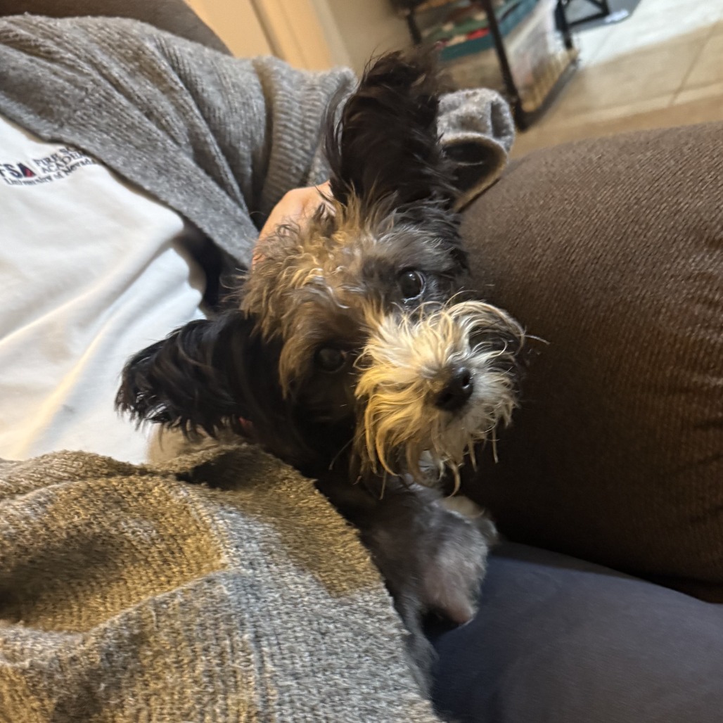Sally, photo 18