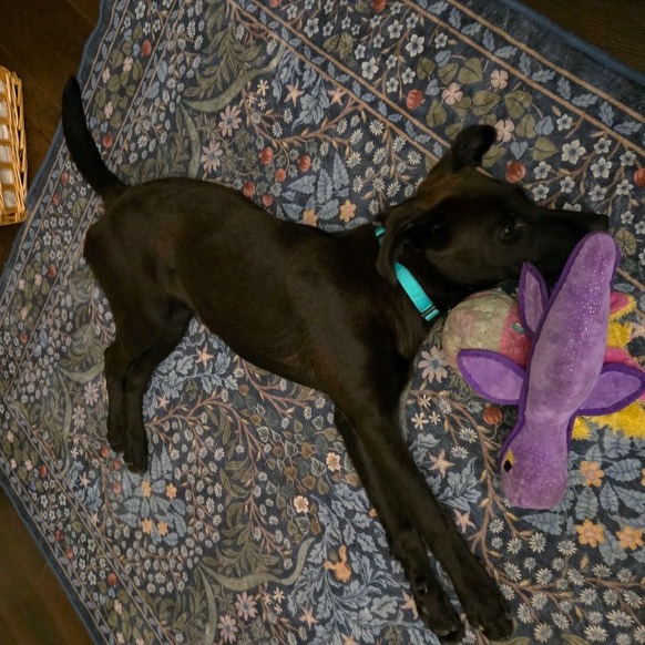 Brooks, photo 6
