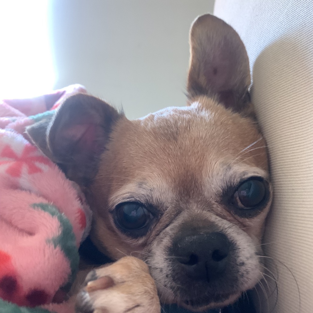 Cowboy Kelvin — thumbnail 4