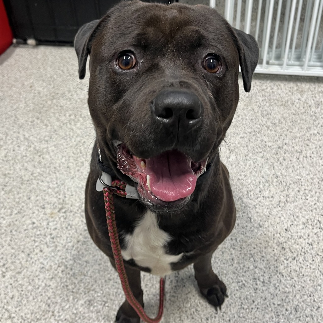 Loverboy — thumbnail 3