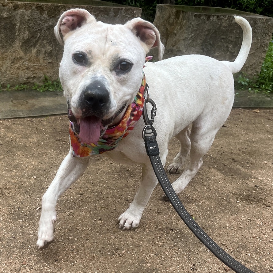 Angie — thumbnail 11