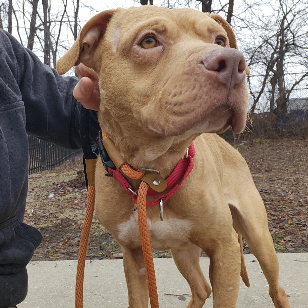 Freedom — thumbnail 3