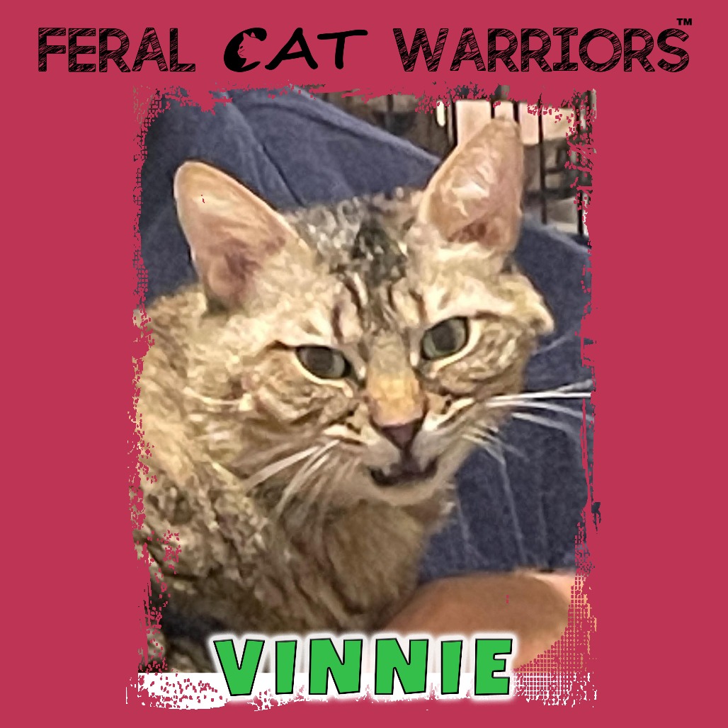 Vinnie