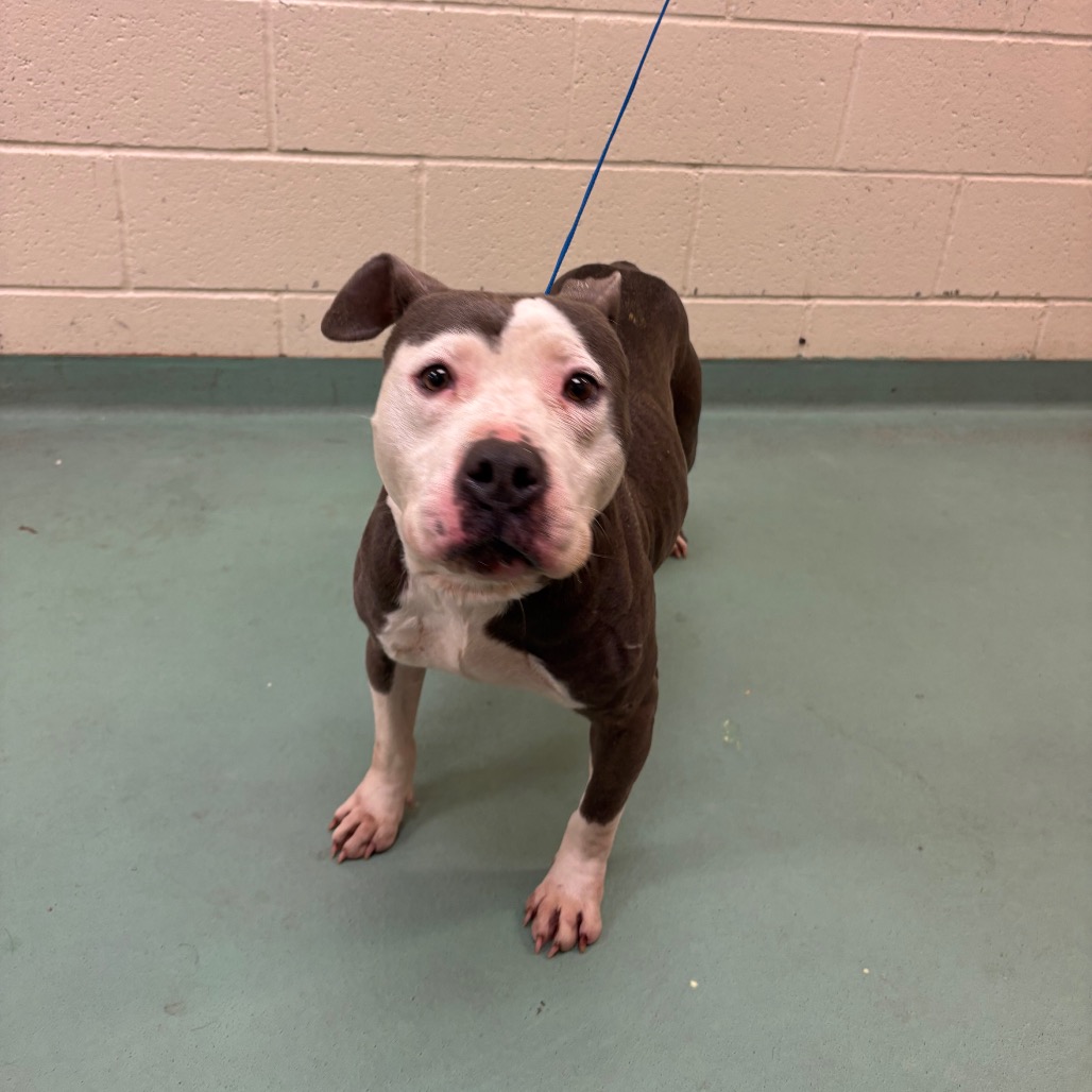 Pooh Bear — thumbnail 2