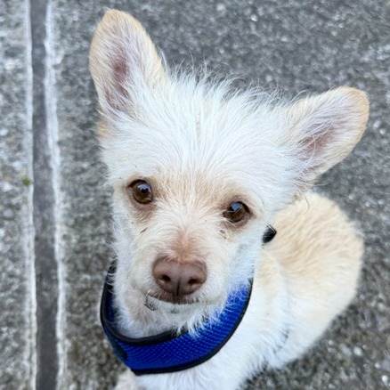EMMETT, photo 8