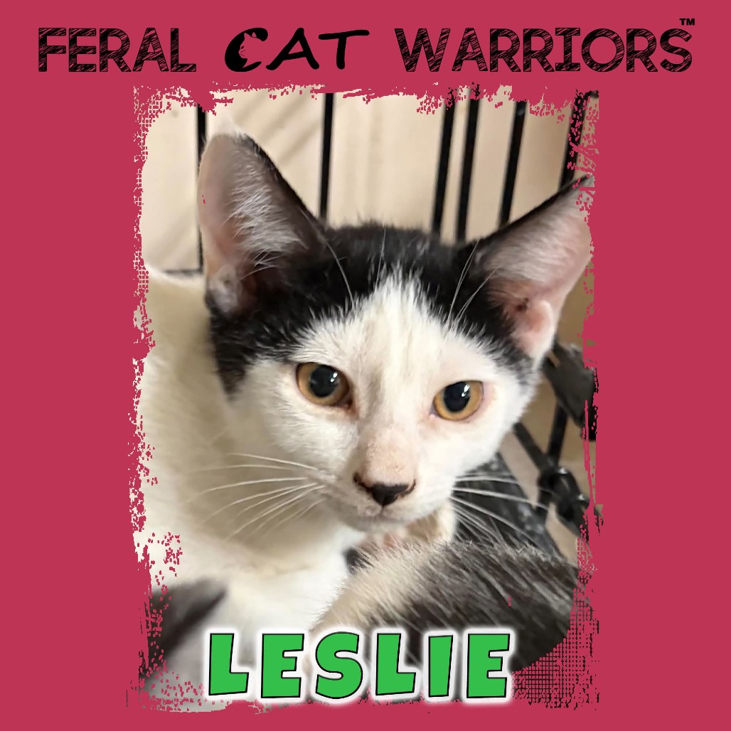 Leslie