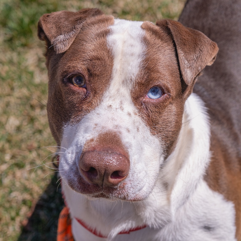 Kyle — thumbnail 5