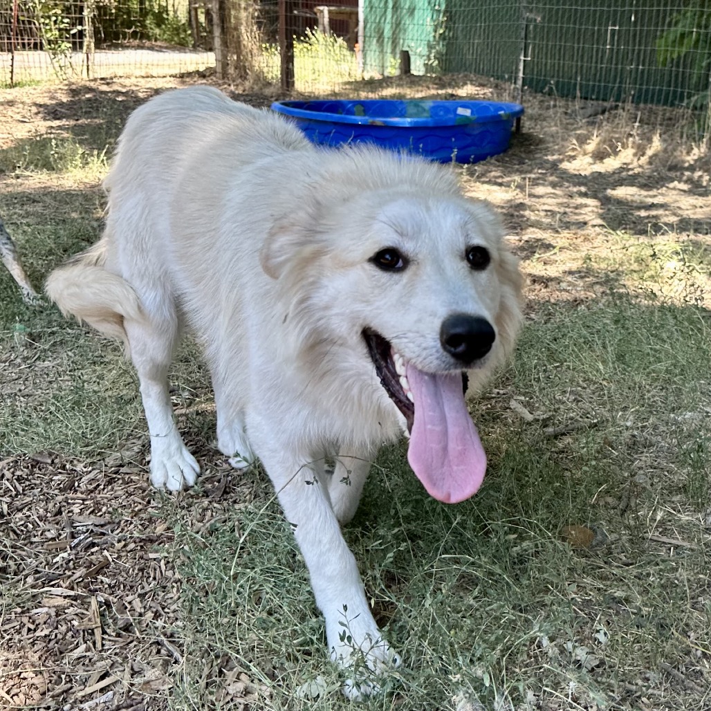 SOPHIE, photo 6