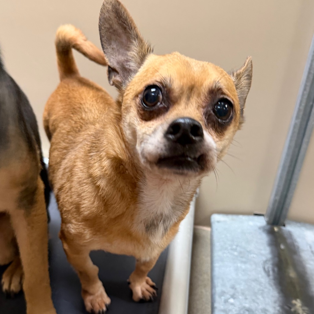 Kennel#9 (King)'s preview photo