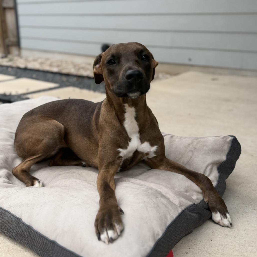 Lucielle — thumbnail 5