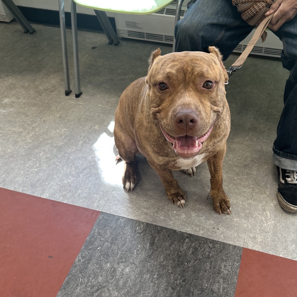 Coco Loco — thumbnail 2