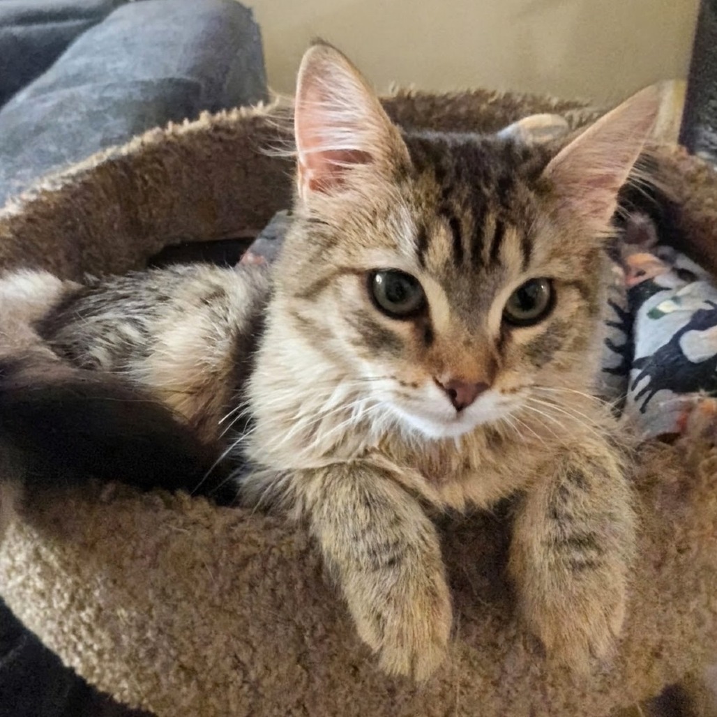 Freya, photo 3