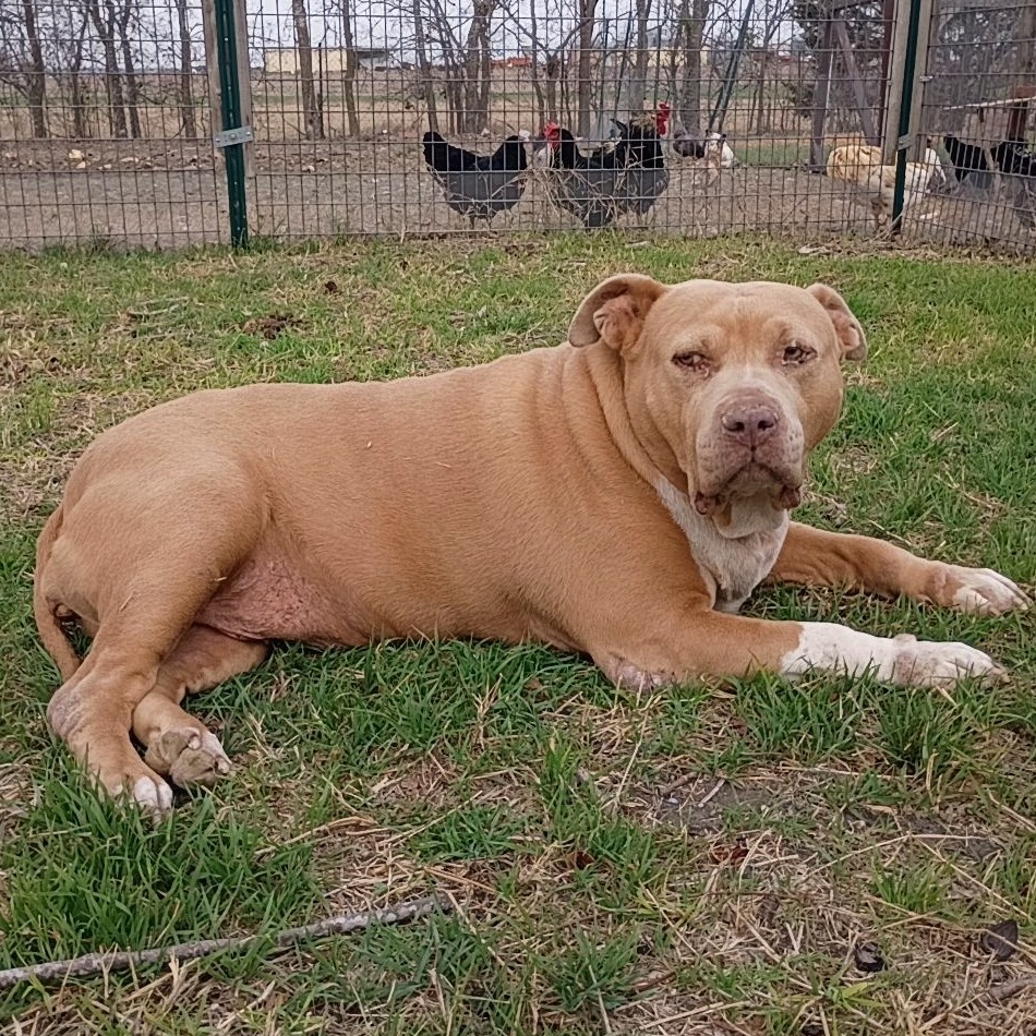 Ellie Belly, additional photo