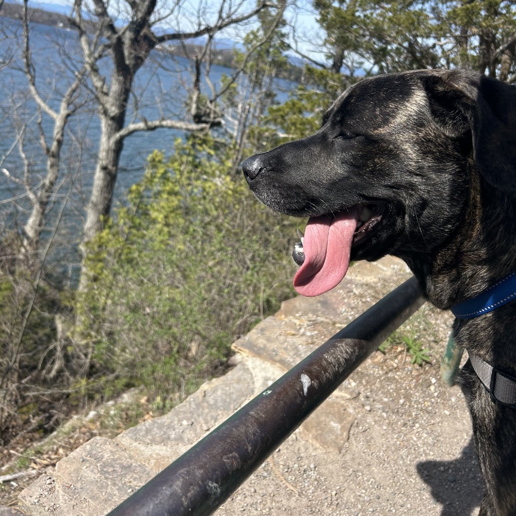 Earl, photo 22