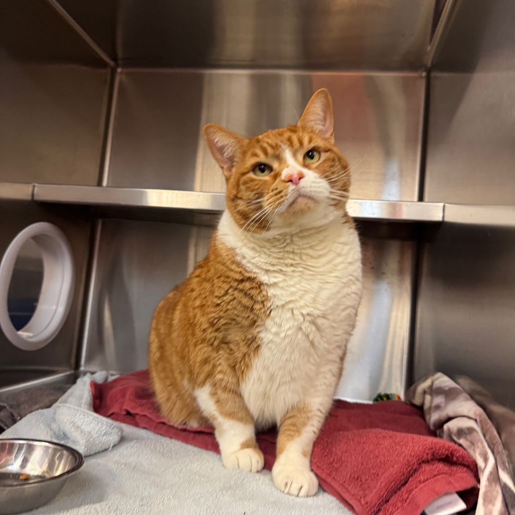 Photo of Freddy and QZ 3