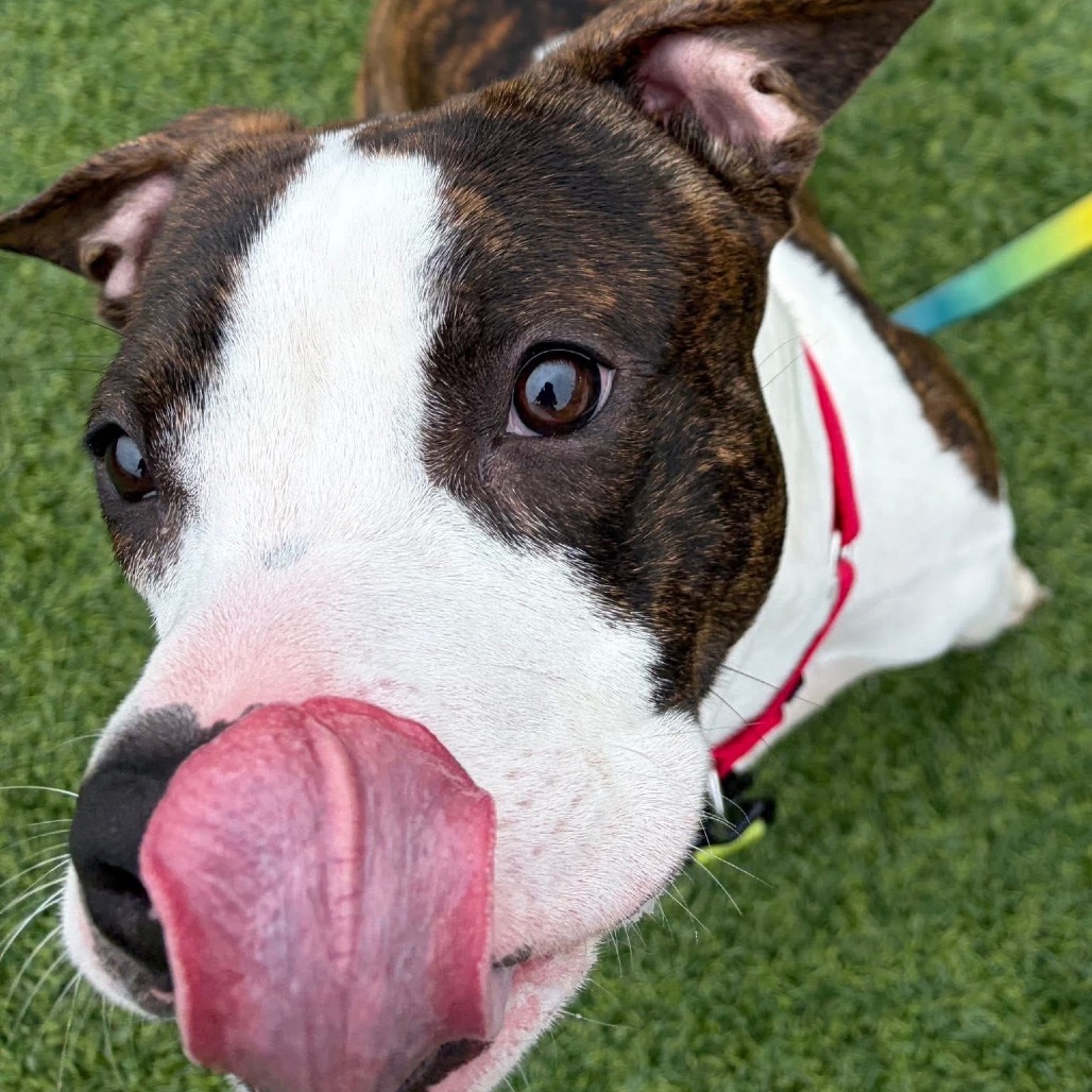 Photo of Leroy 6