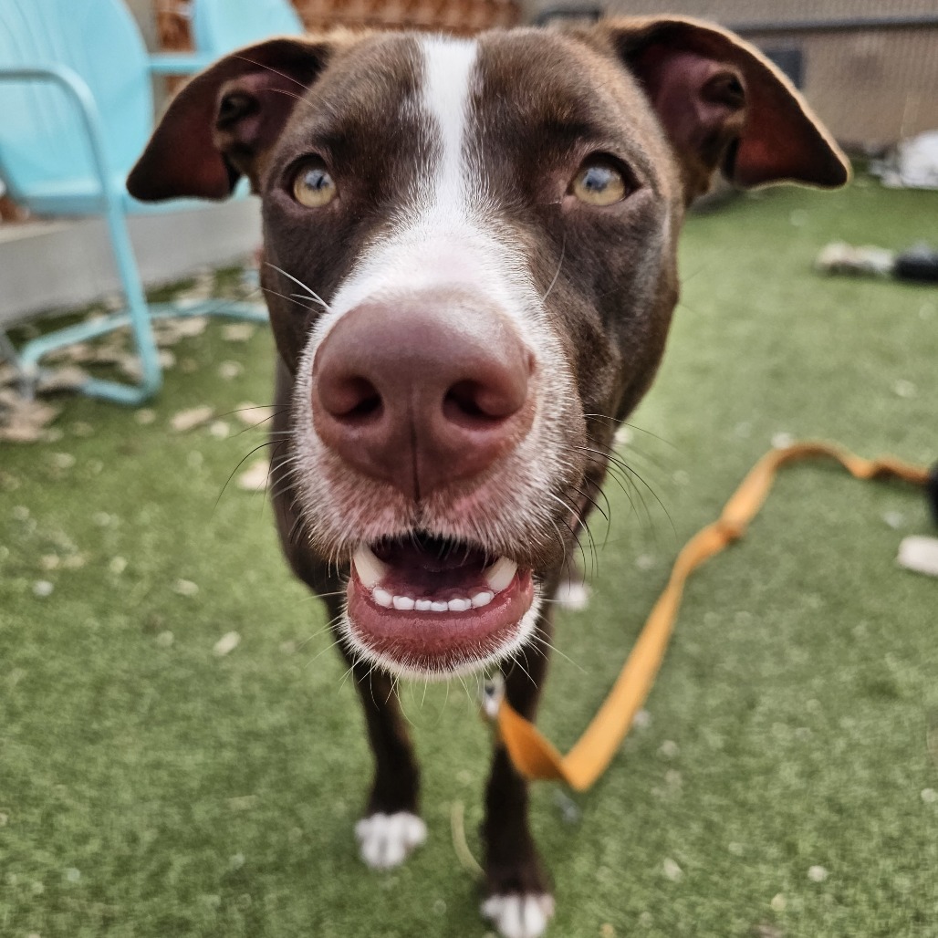 Sandy Seashore — thumbnail 3