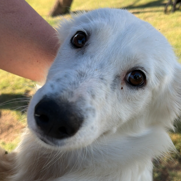 Aimee, adopted