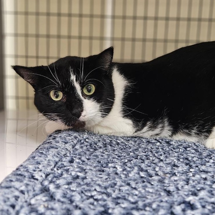 A#111a's preview photo