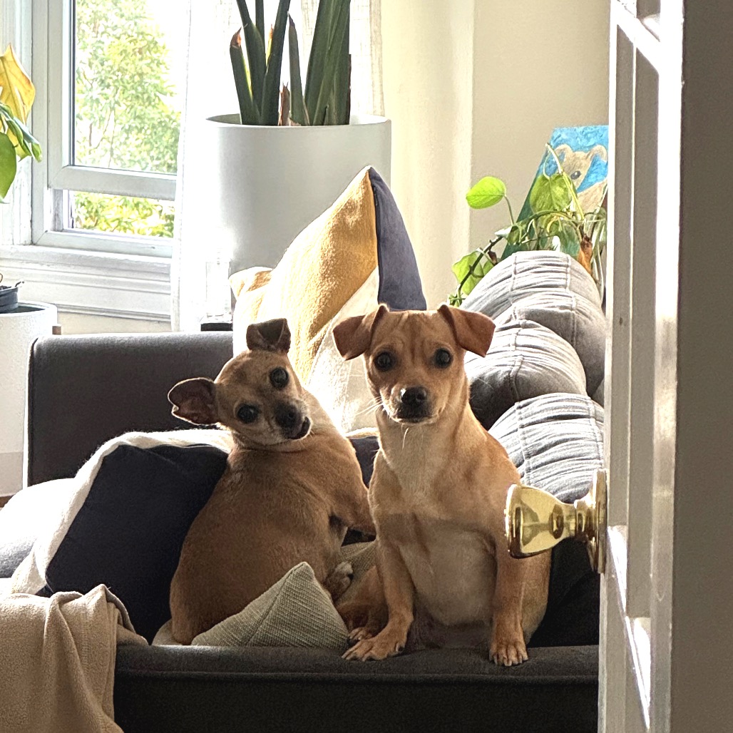 Little Bit — thumbnail 3